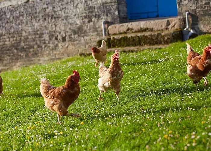 Appartement On Farm *