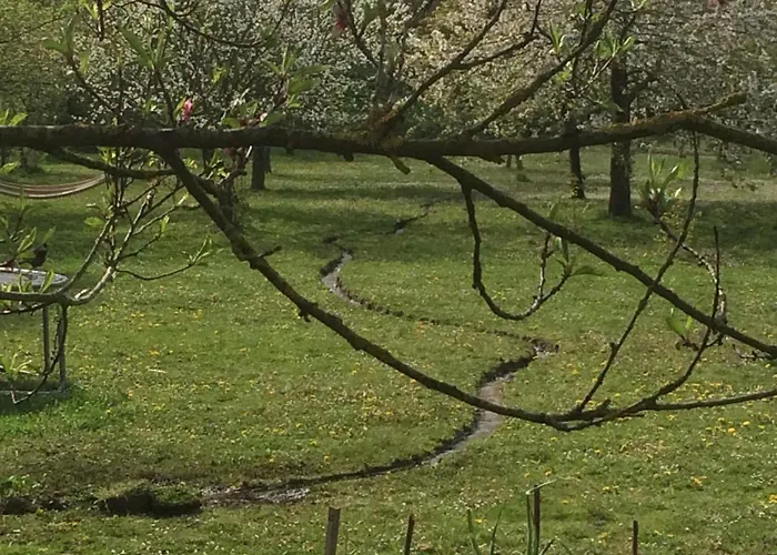On Farm * Beaugies-sous-Bois